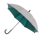 Зонт-трость с пластиковой ручкой, полуавтомат, серебро/зеленый нейлон, D=102 см